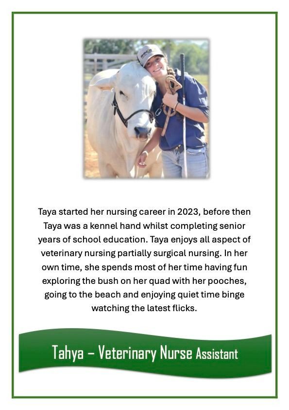 Tahya — University Avenue Veterinary Hospital in Durack, NT