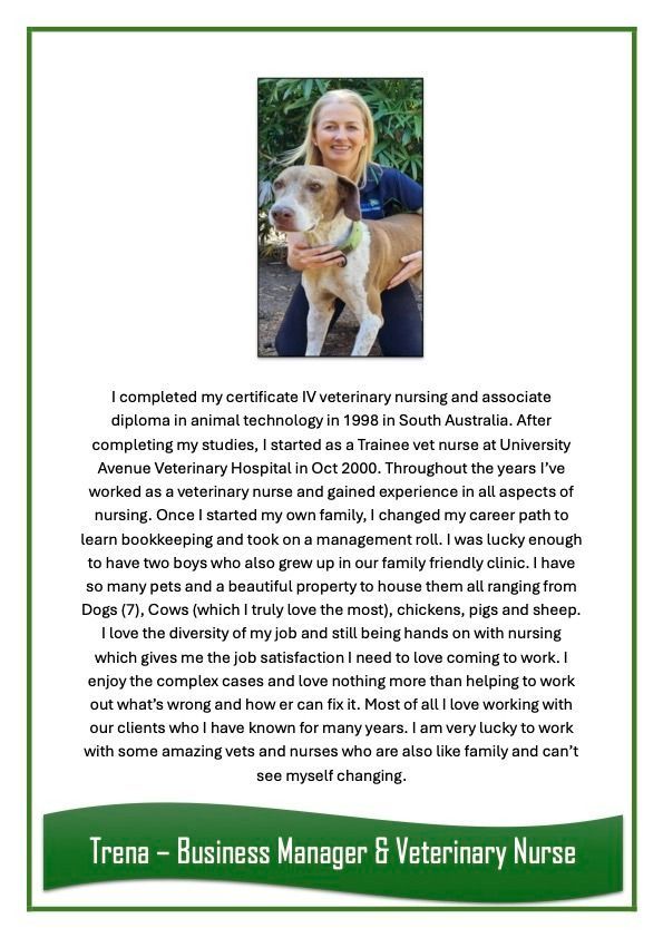 Trena — University Avenue Veterinary Hospital in Durack, NT
