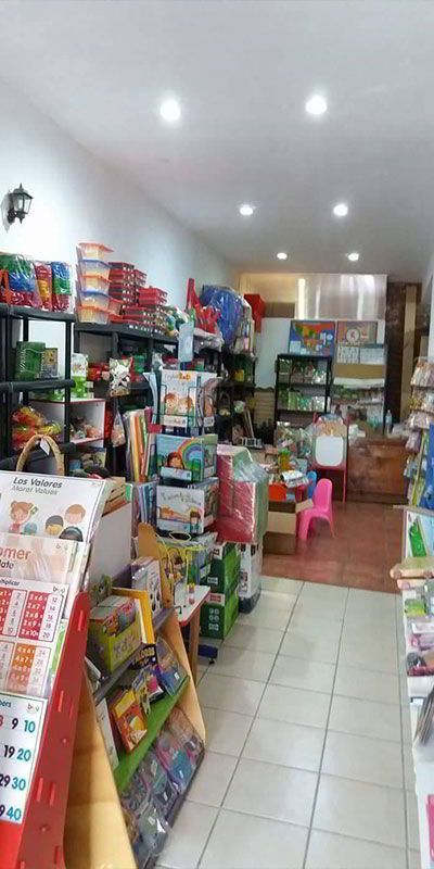 Una juguetería llena de muchos juguetes y libros.