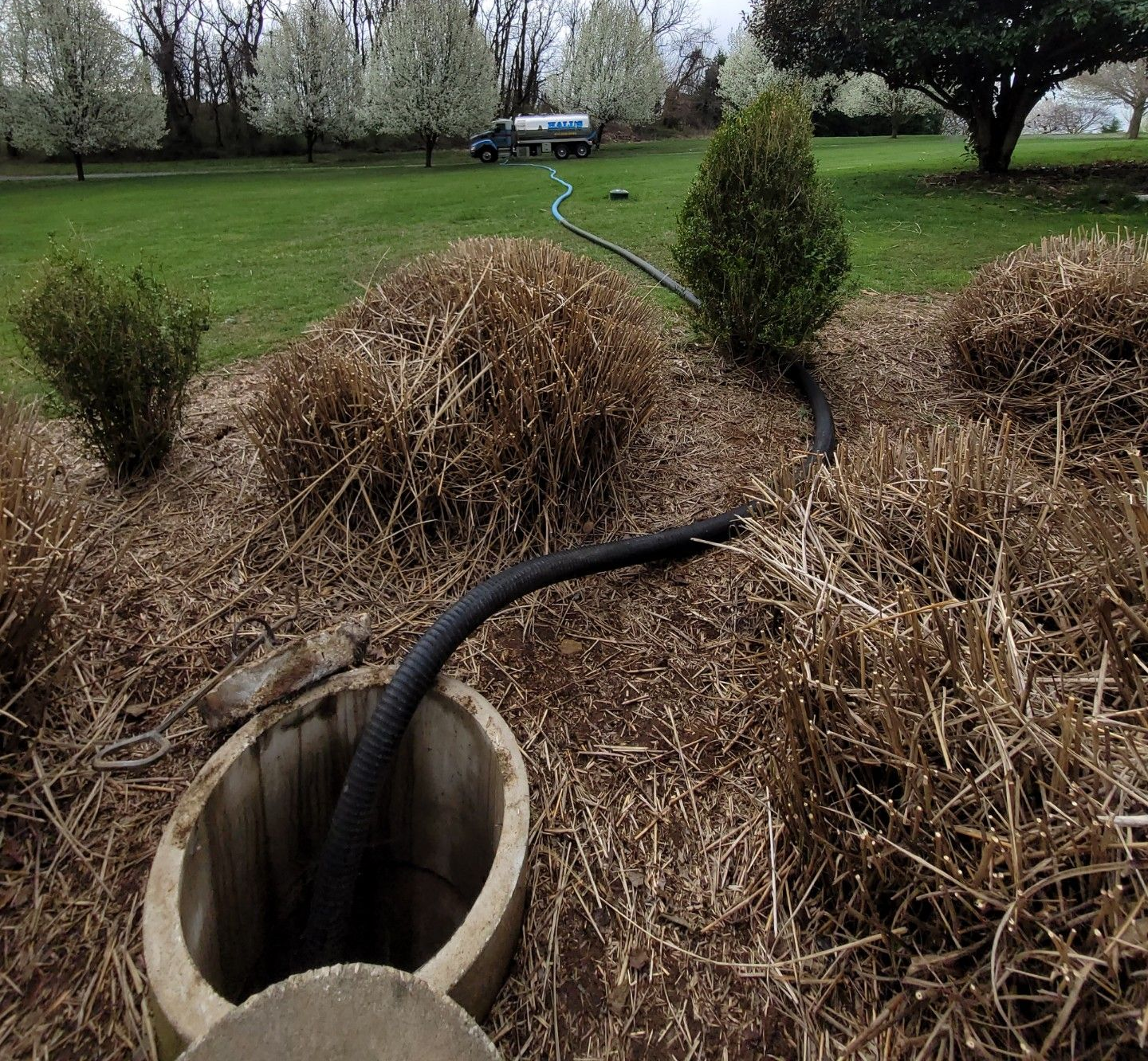 Septic Pumping around tree roots