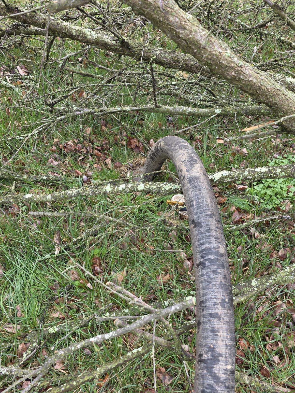 Hall's Septic Services 52