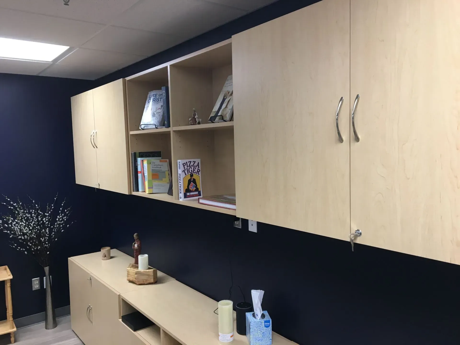 Light-colored cabinets mounted on a dark blue wall. The upper cabinets have open shelves with books. Lower cabinets below.