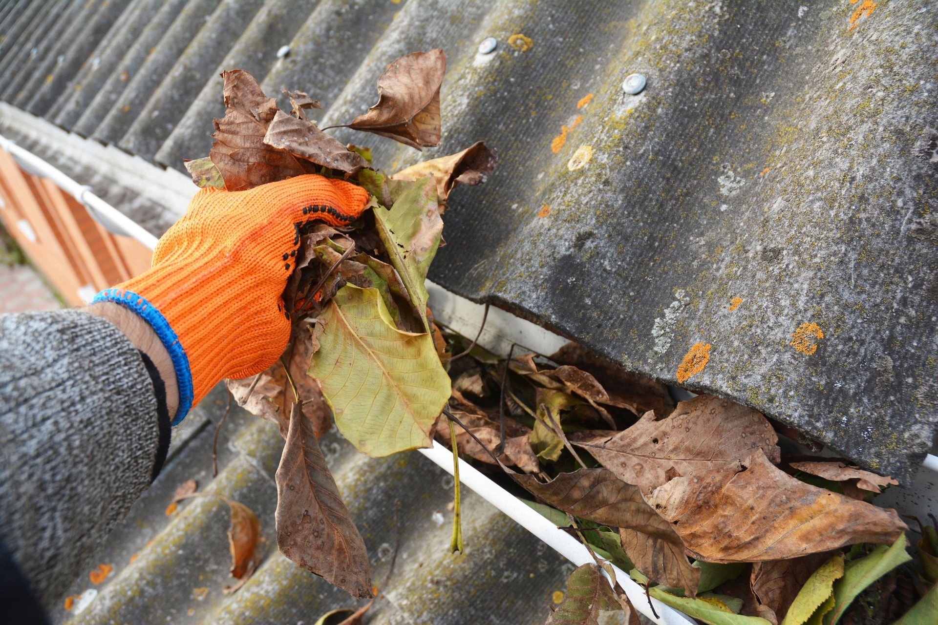Person in orange glove cleaning leaves from a roof gutter.