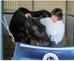 Sportsmassage — Woman With Horse in Waldoboro, ME