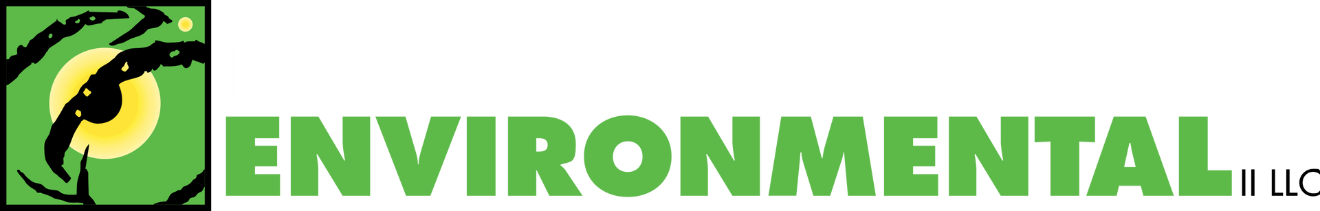 Northeast Environmental