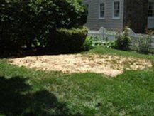 Site Backfilled — Westchester County, PA — Northeast Environmental
