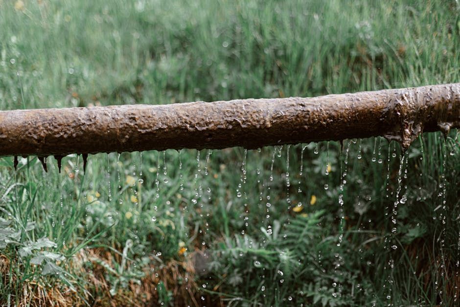blue-green oxidation stains on a copper pipe joint indicating a slow leak and corrosion