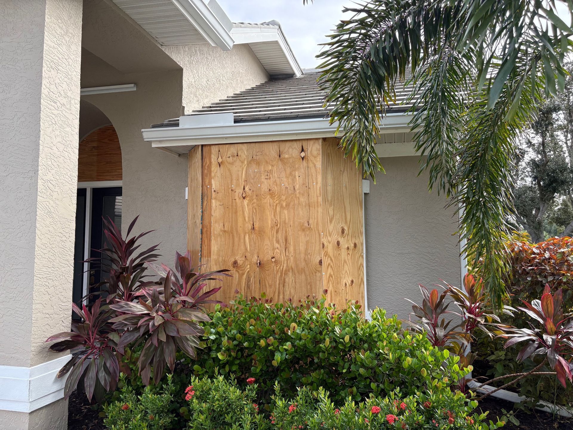 House with plywood boards covering a window, surrounded by lush green and red plants.