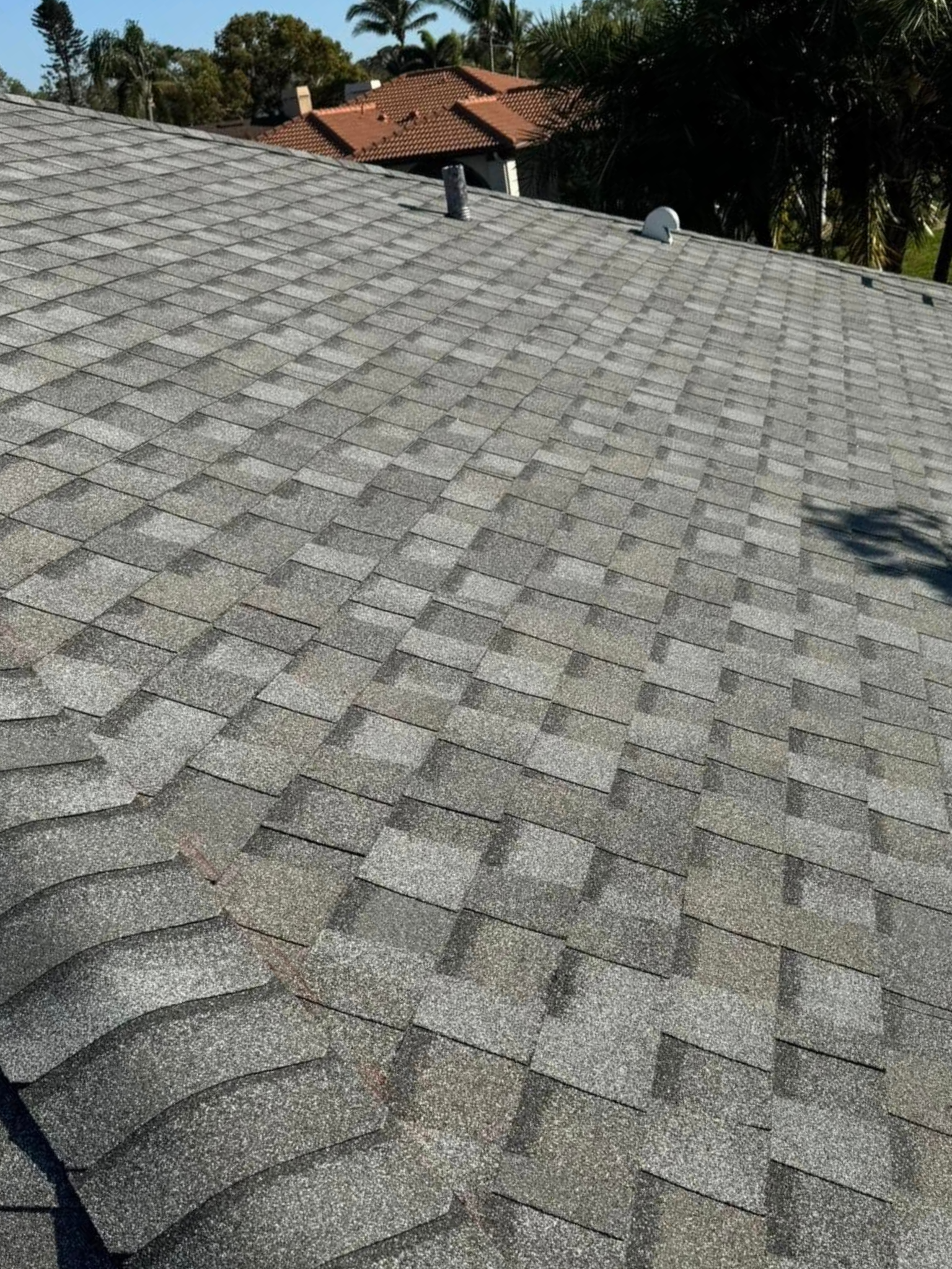 Gray asphalt shingle roof. Close-up view of weathered shingles.