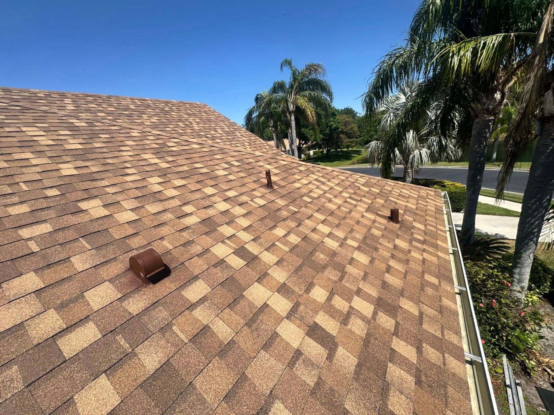 Brown shingle roof on a sunny day with palm trees in the background.