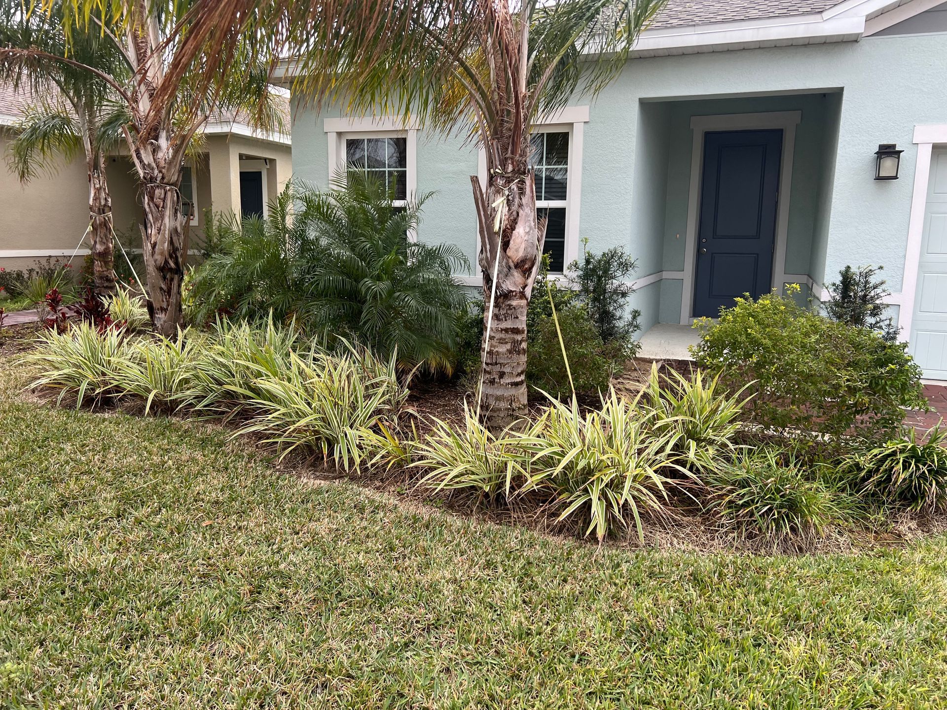 A house with a blue door and a lot of plants in front of it.