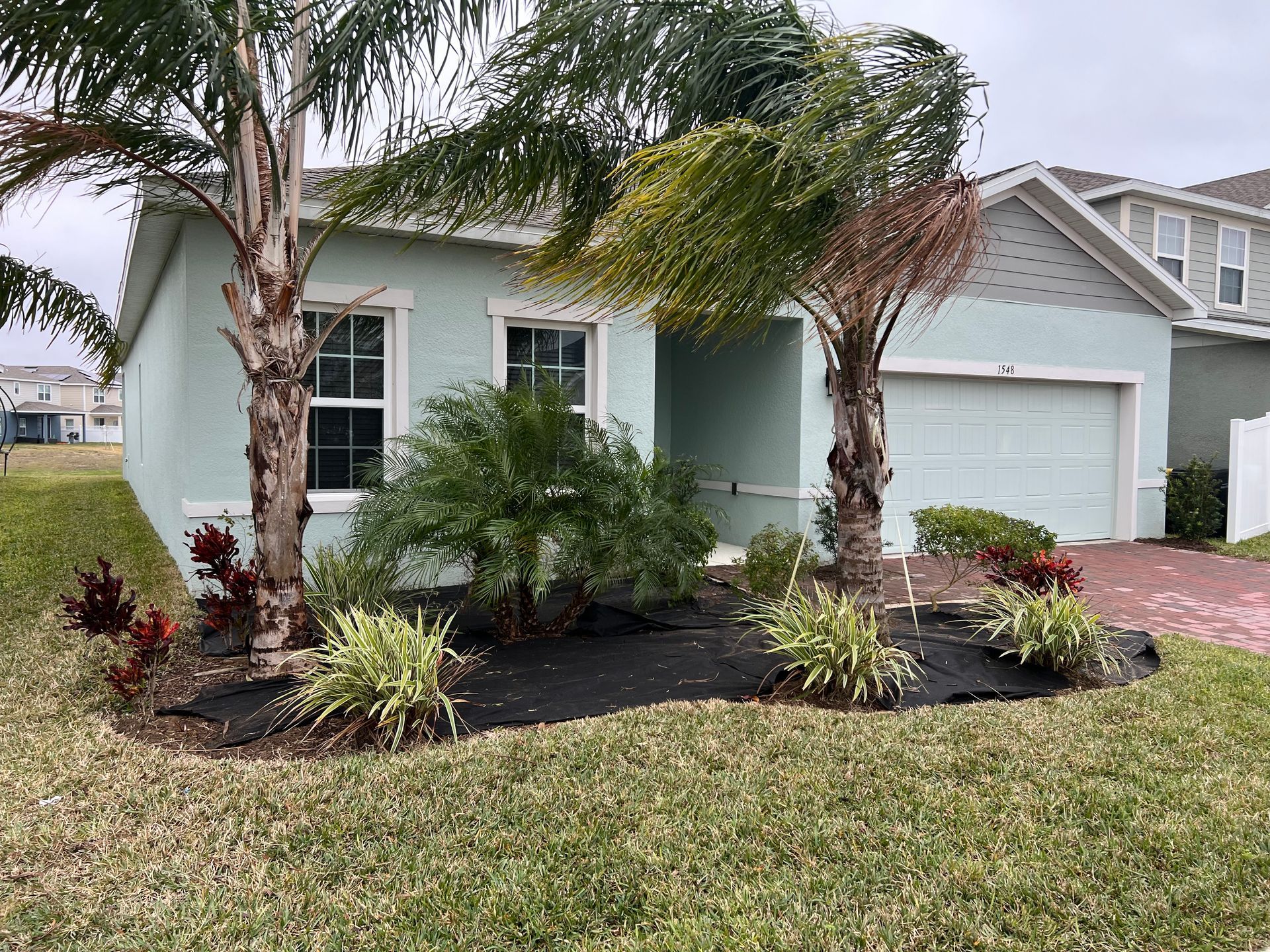 A house with two palm trees in front of it.