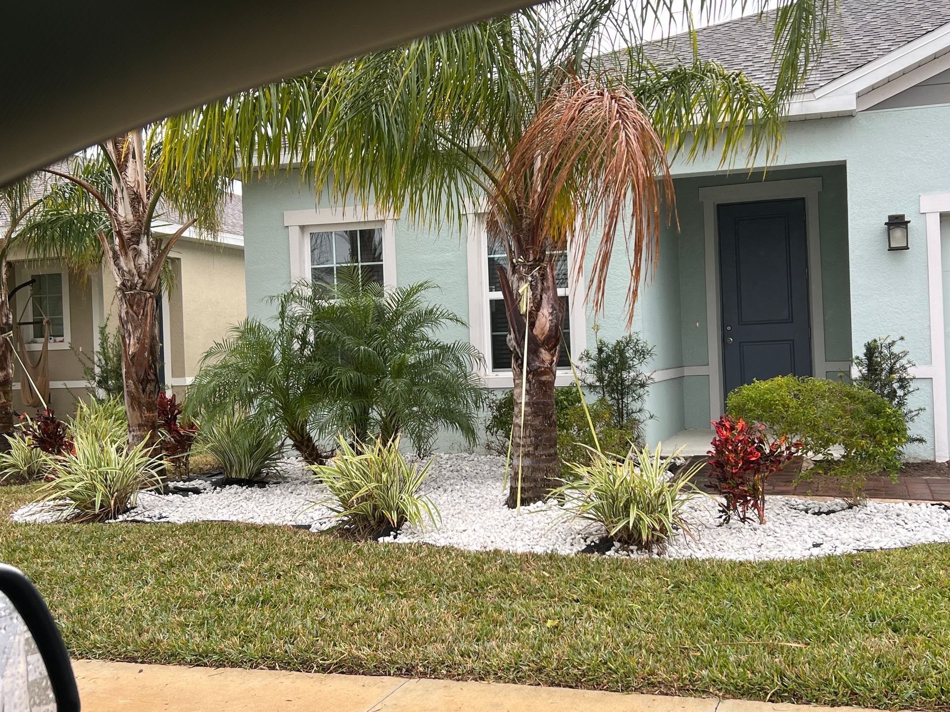 A house with a lot of plants in front of it