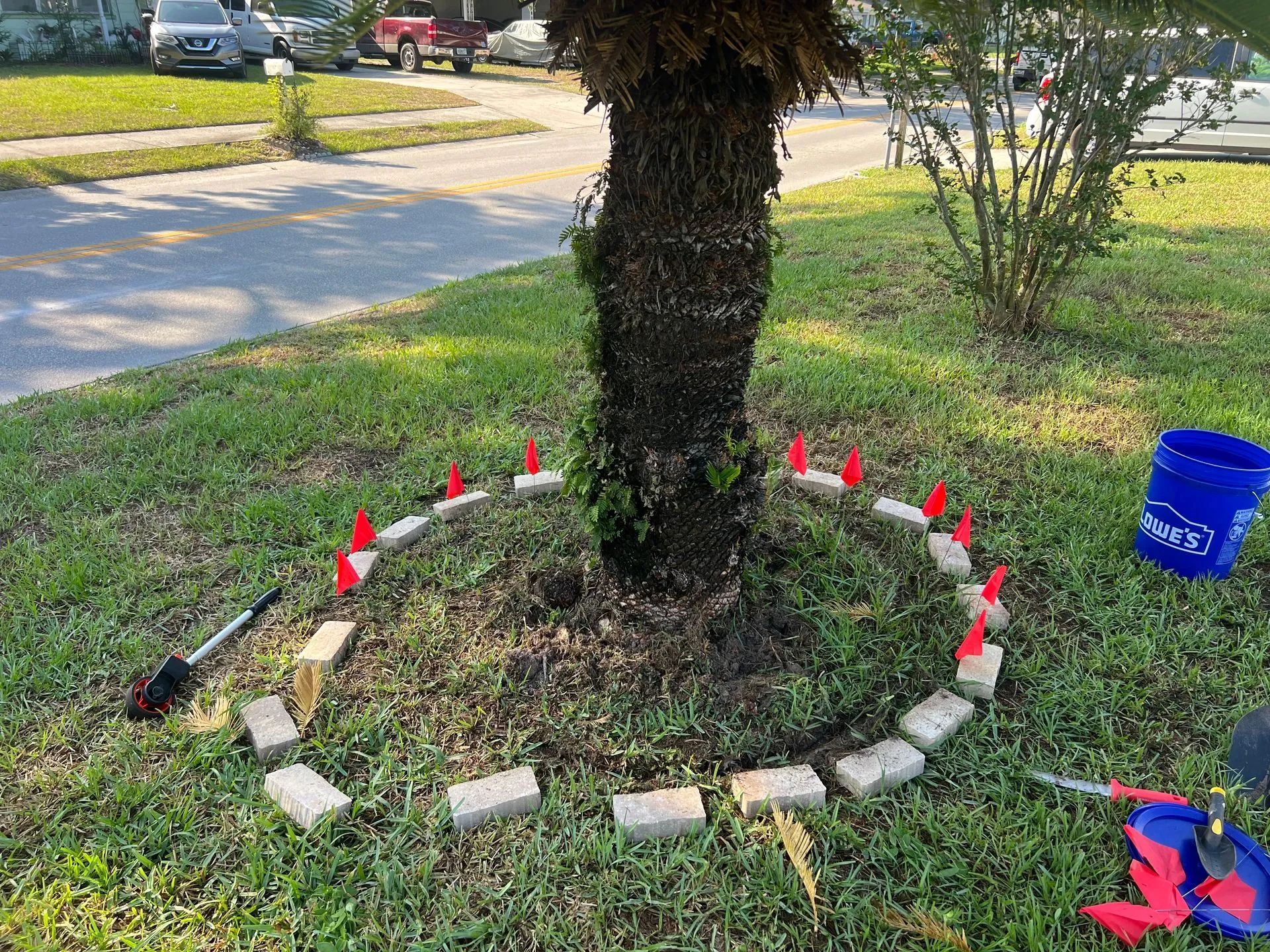 A blue bucket is sitting in the grass next to a tree.