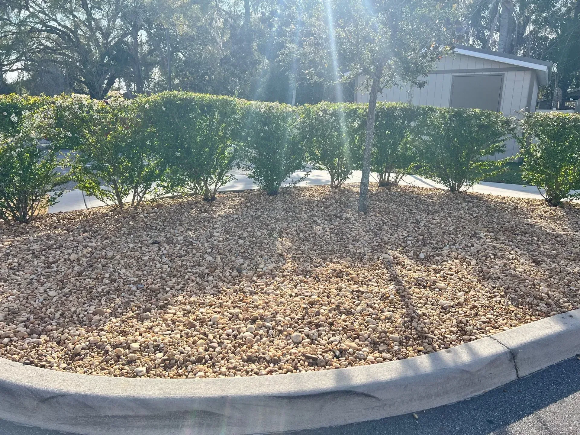 A circular planter filled with mulch and trees