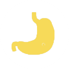 Yellow, stylized illustration of a human stomach, showing its general shape and position in the body.
