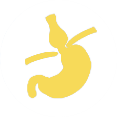 Yellow silhouette of human stomach.