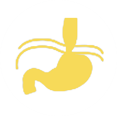 Yellow cartoon of a stomach with lines to represent it.