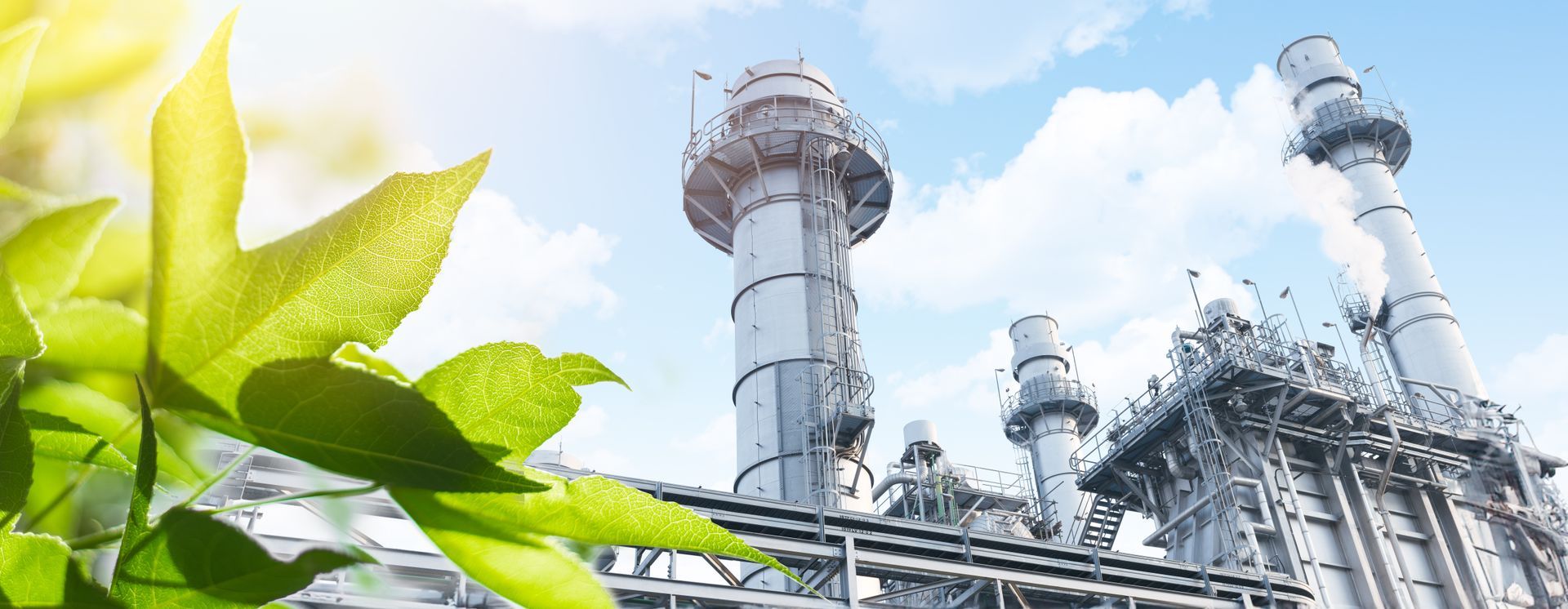 Green leaves in front of an industrial power plant with tall smokestacks against a cloudy blue sky.