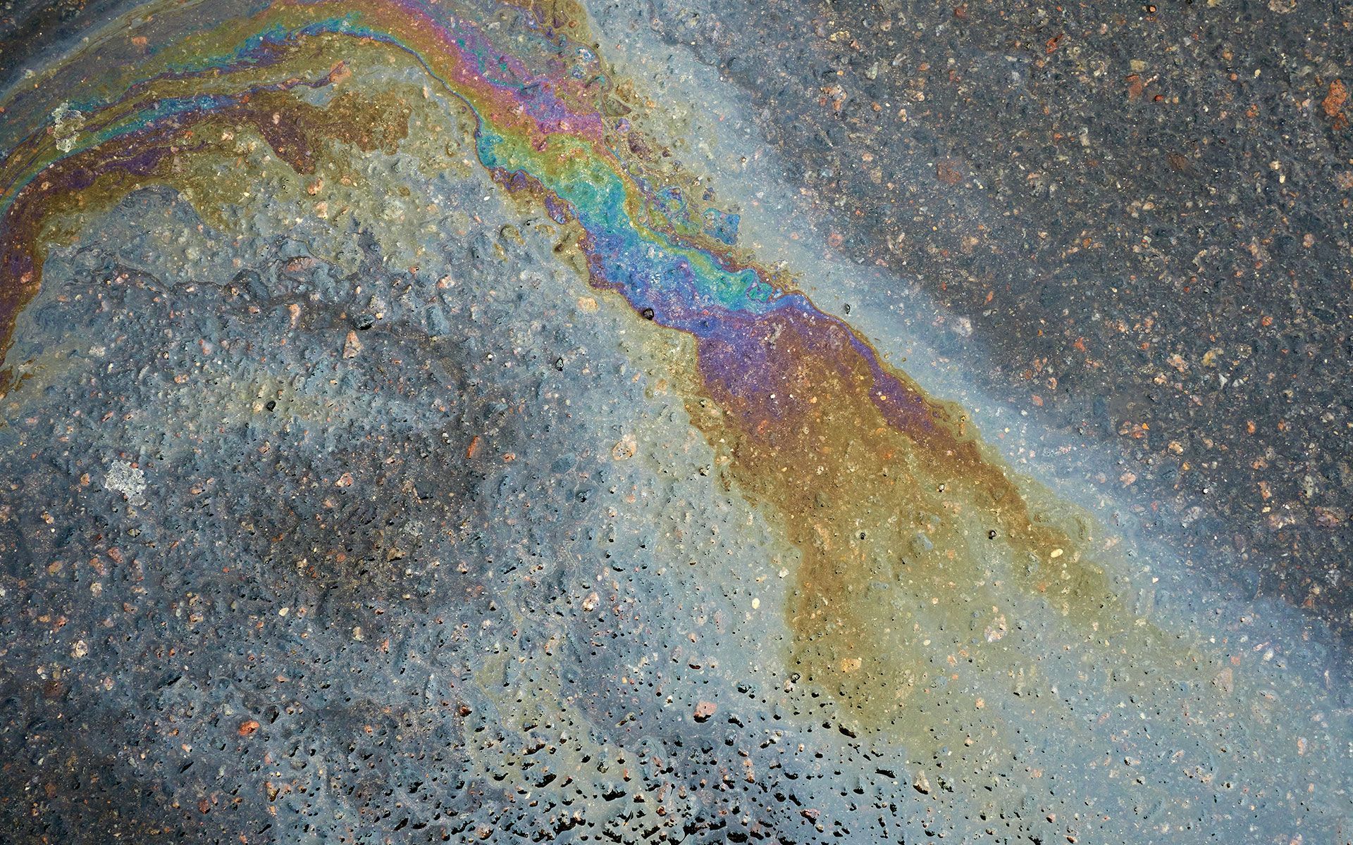 Oil slick on asphalt; iridescent rainbow sheen reflects light.