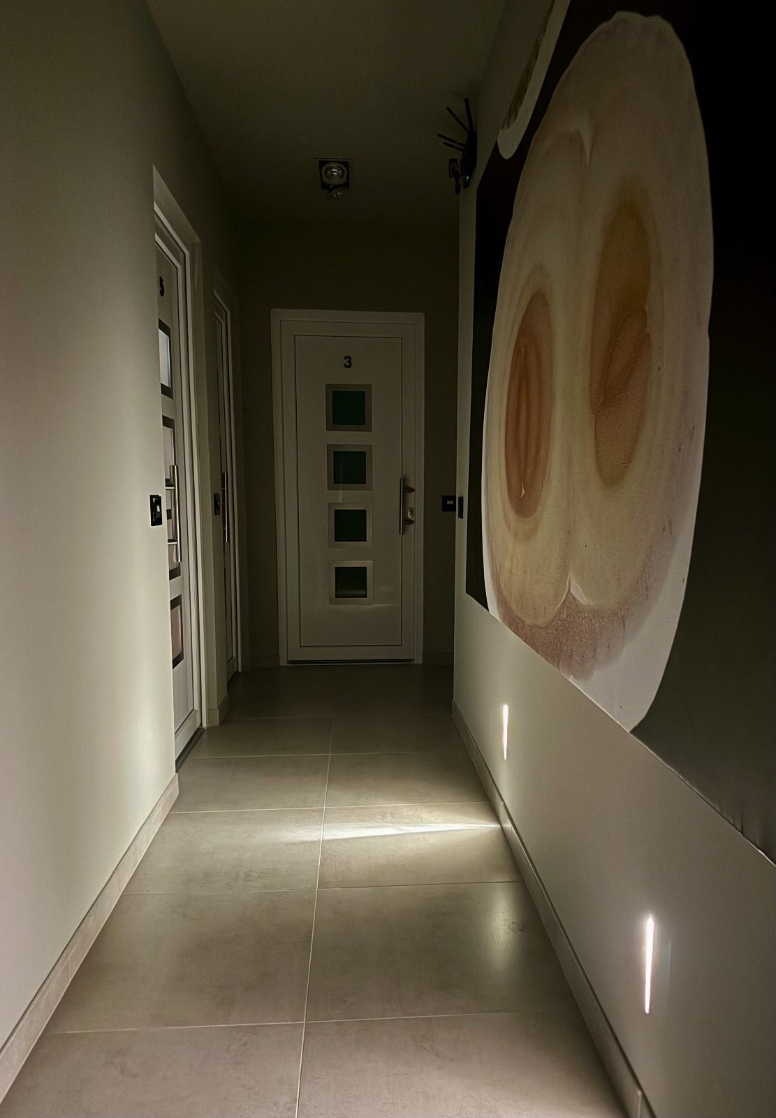 un corridoio buio con una porta bianca e un dipinto sul muro