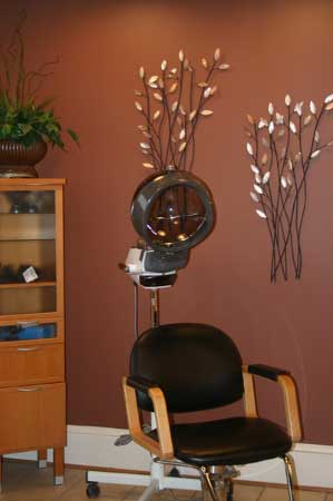 salon chair — Hair & Skin Care service in Newark, DE