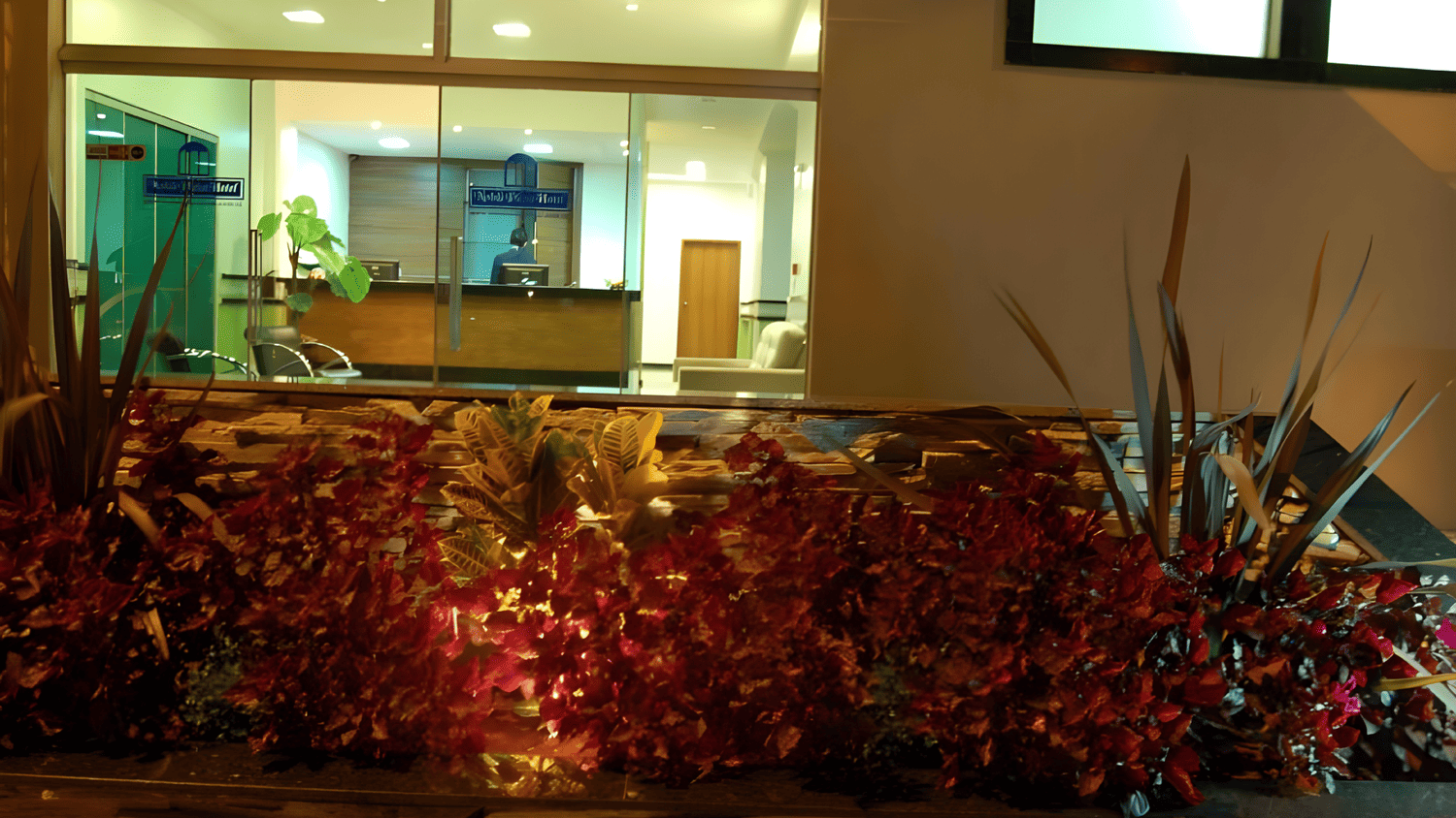 Um prédio com muitas plantas na frente