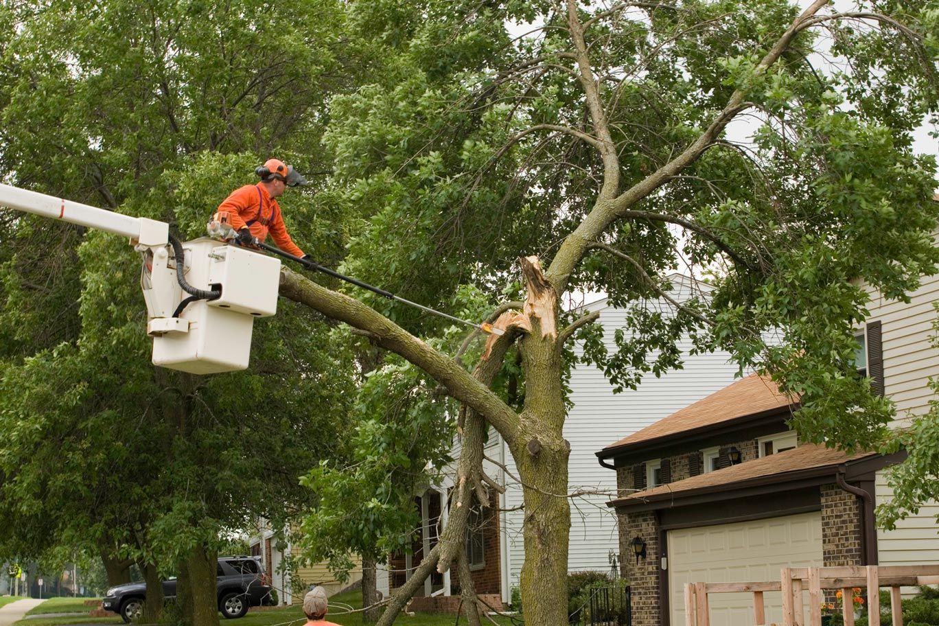 Storm damaged tree gets cut by tree expert, representing tree care services given by Gordon Pro Tree