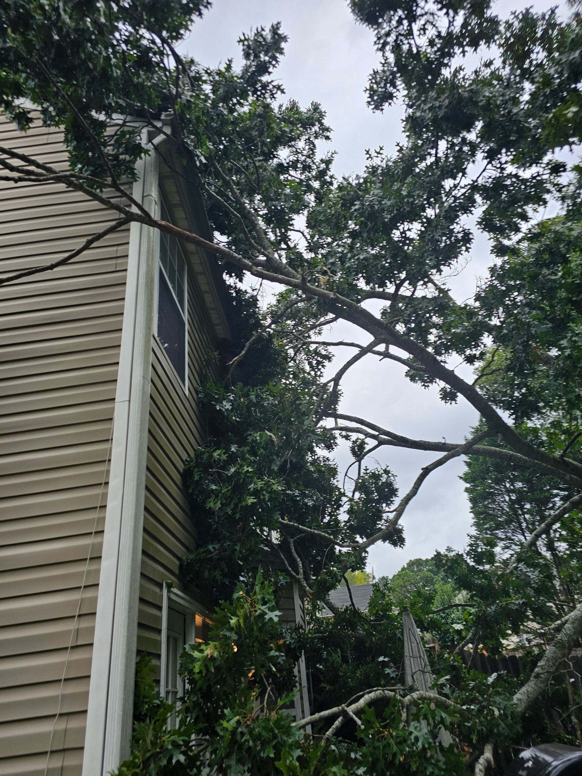 A large tree branch has fallen against the side of a tan-sided house, resting near the roofline and upper windows.