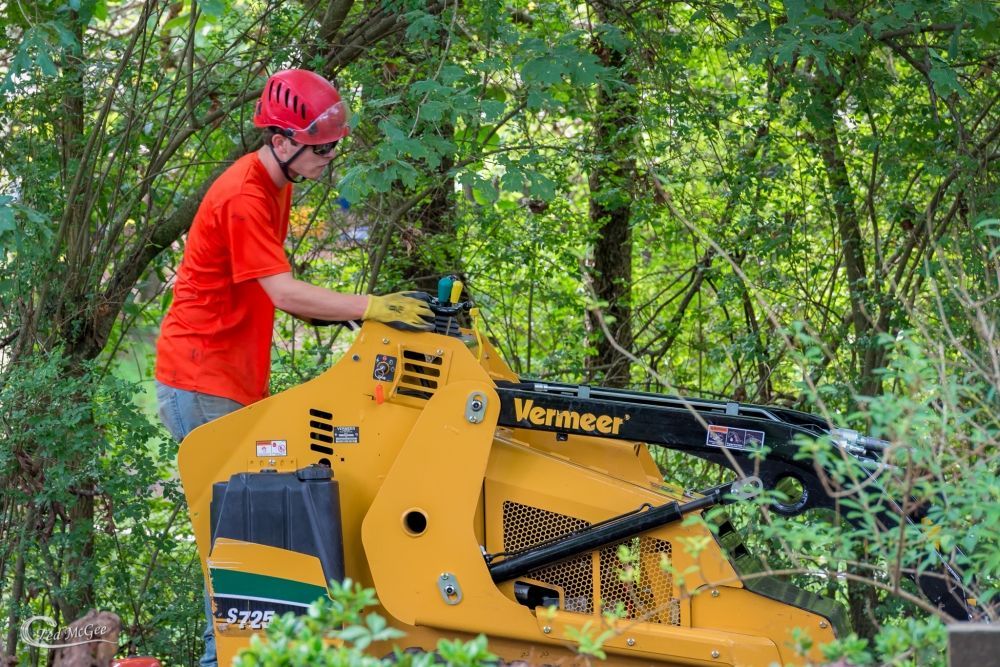 A person in a red shirt and hard hat operating a yellow Vermeer tree-cutting machine in a wooded area.