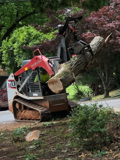 A red and white tracked skid-steer loader uses a grapple attachment to lift a large, heavy log outdoors.