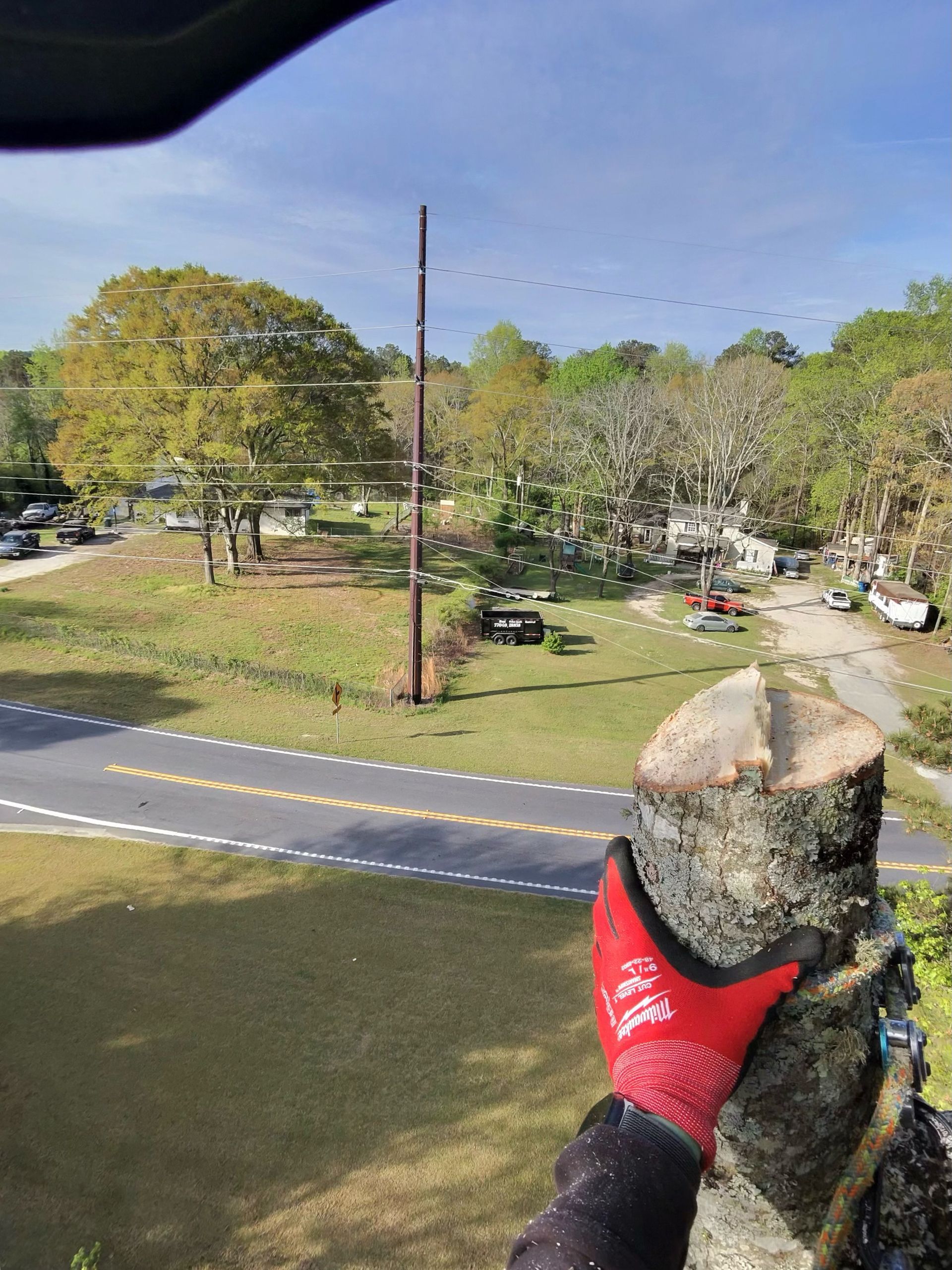 A person wearing a red work glove holds onto a freshly cut tree trunk while working at height above a road and field.