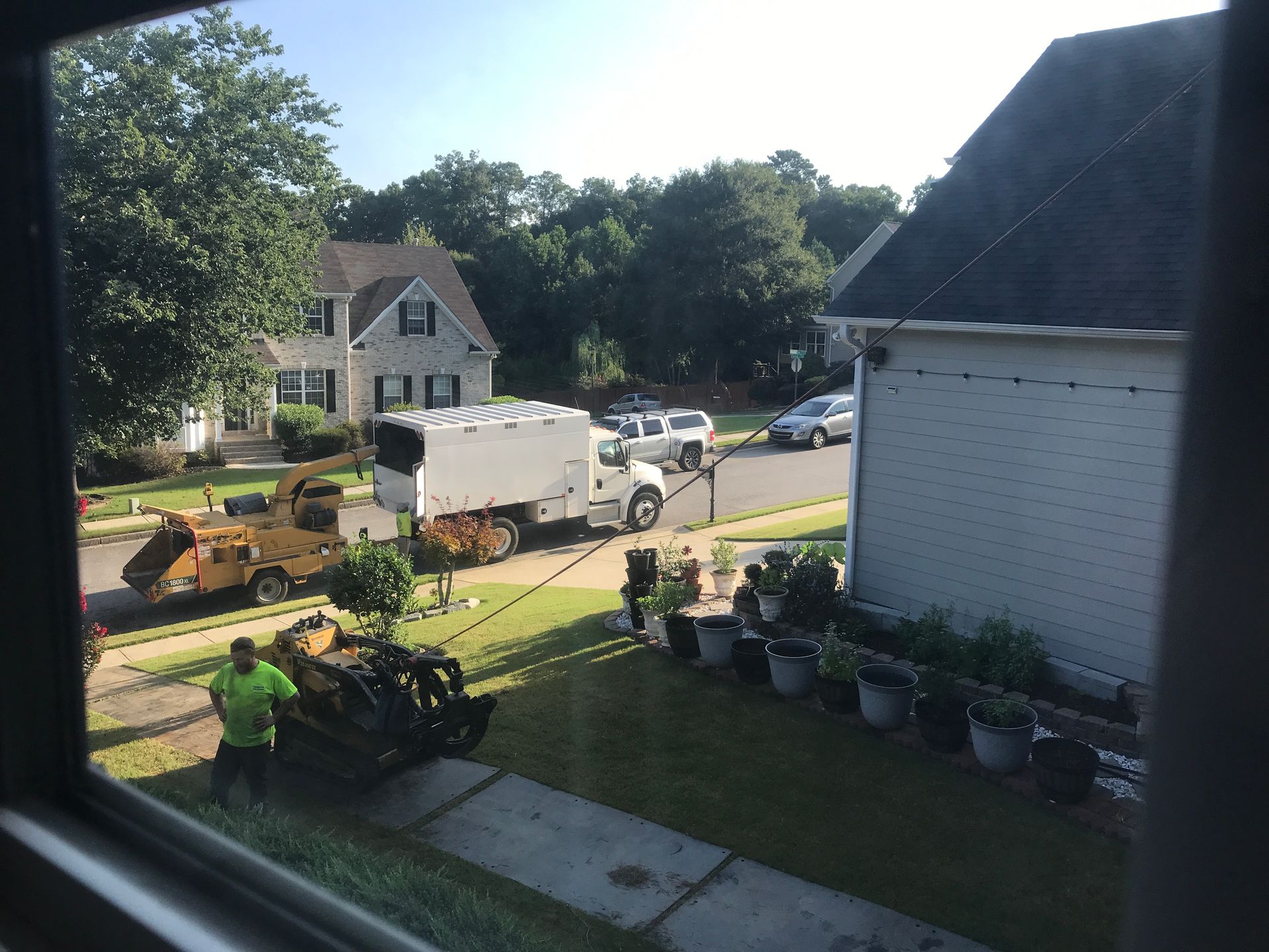 Tree Trimming and Pruning Services Image One | Gainesville, GA | Gordon Pro Tree Service