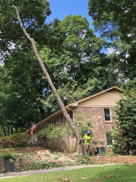 Tree Trimming and Pruning Services Image Nine | Gainesville, GA | Gordon Pro Tree Service