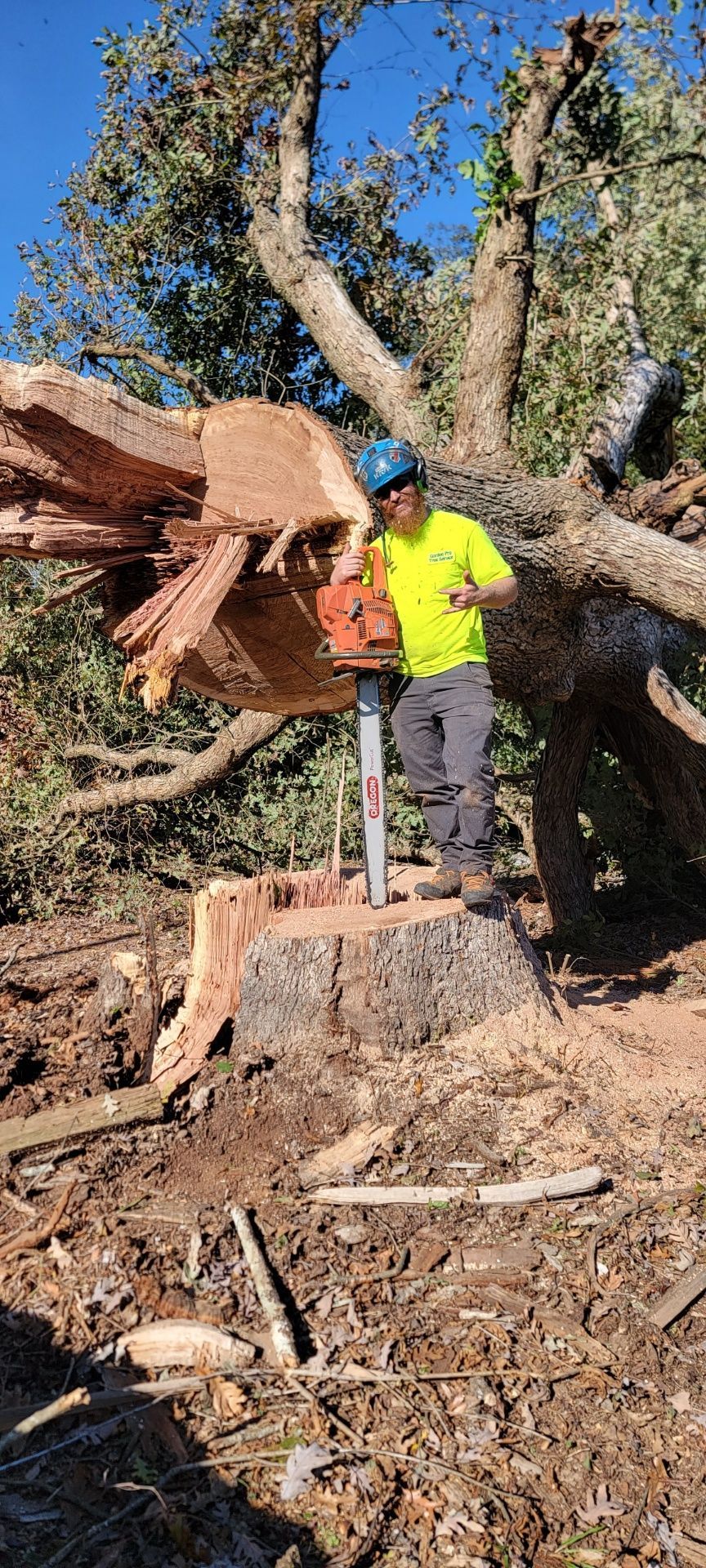 Tree Removal Services Images Eight | Gainesville, GA | Gordon Pro Tree Service