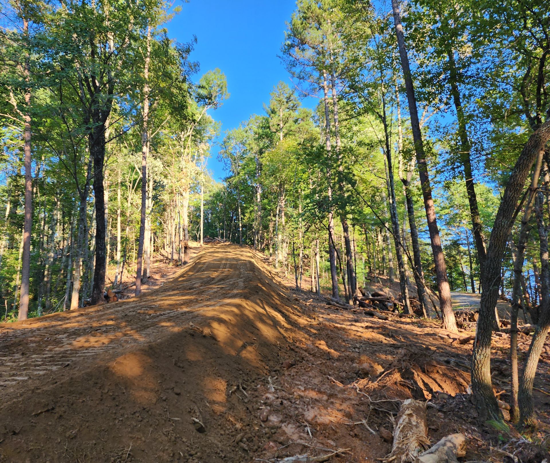 Woods Trails | Gainesville, GA | Gordon Pro Tree Service