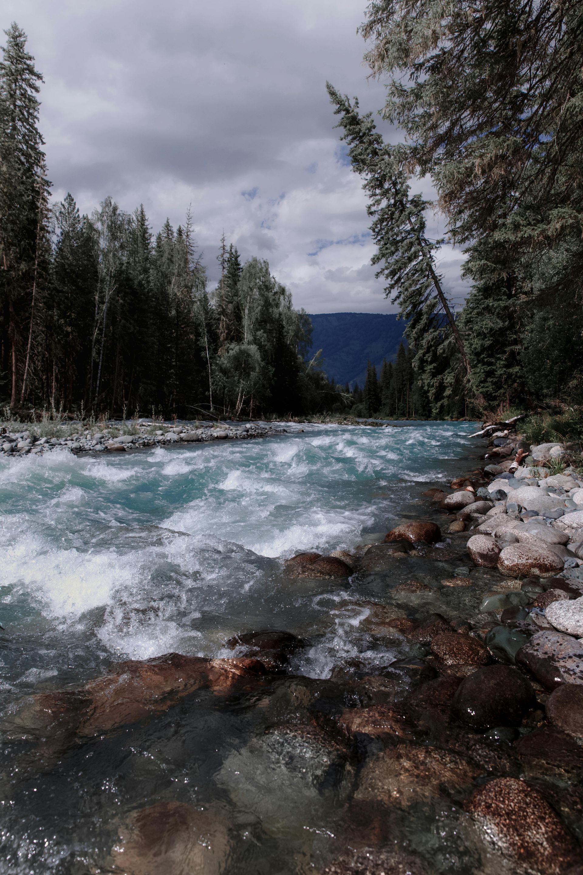 Rapid turquoise river flowing through a forest under a cloudy sky.