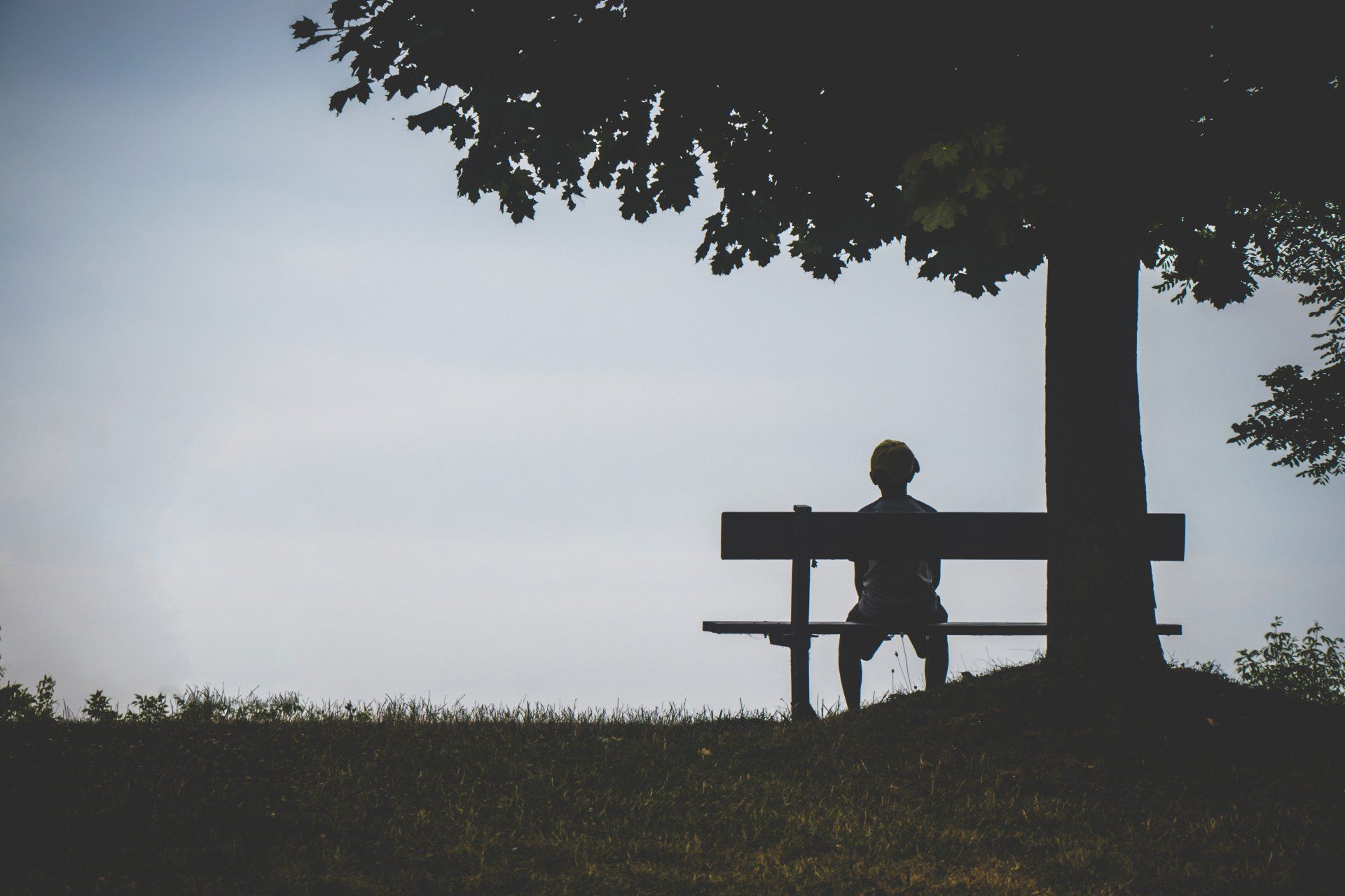 Silhouette of a person sitting on a bench under a tree, outdoors. Overcast sky.