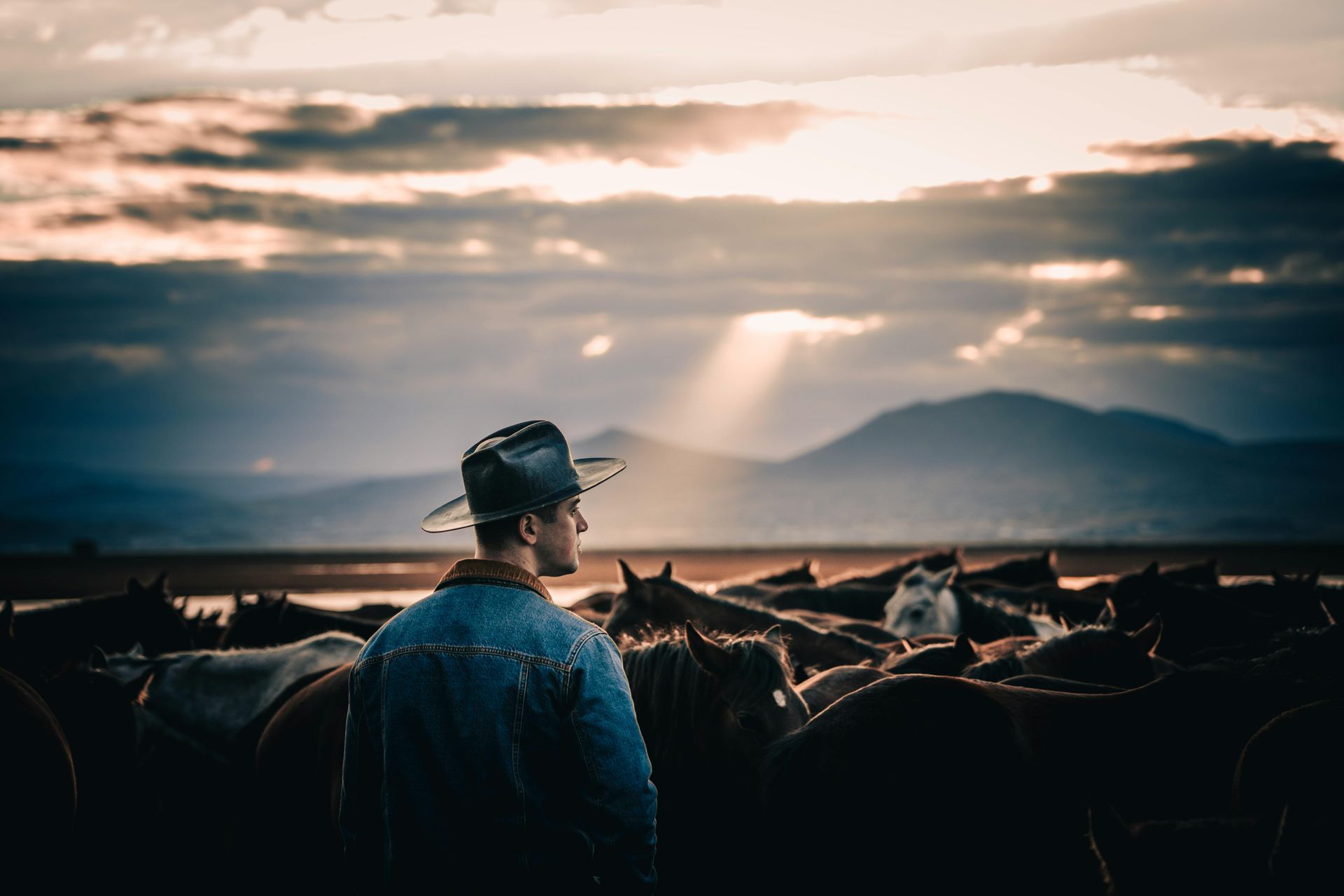 tax focused strategies