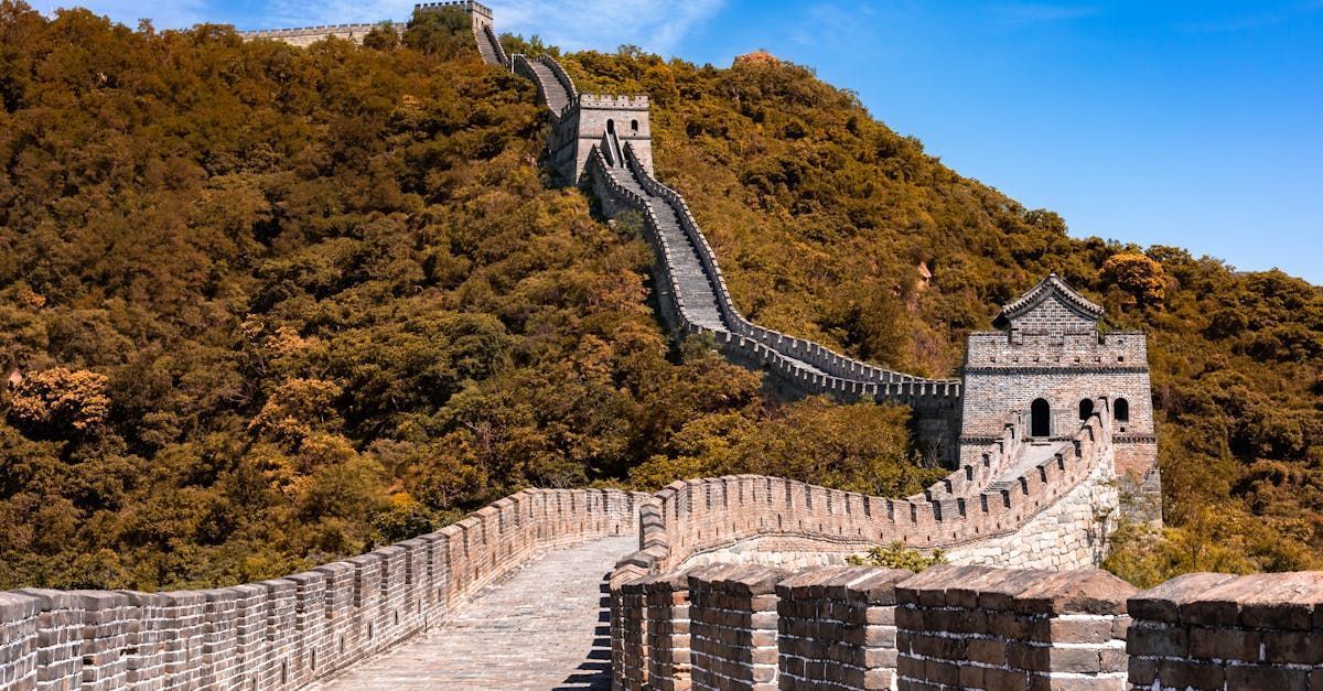 Great Wall of China winding up a tree-covered hillside under a blue sky.