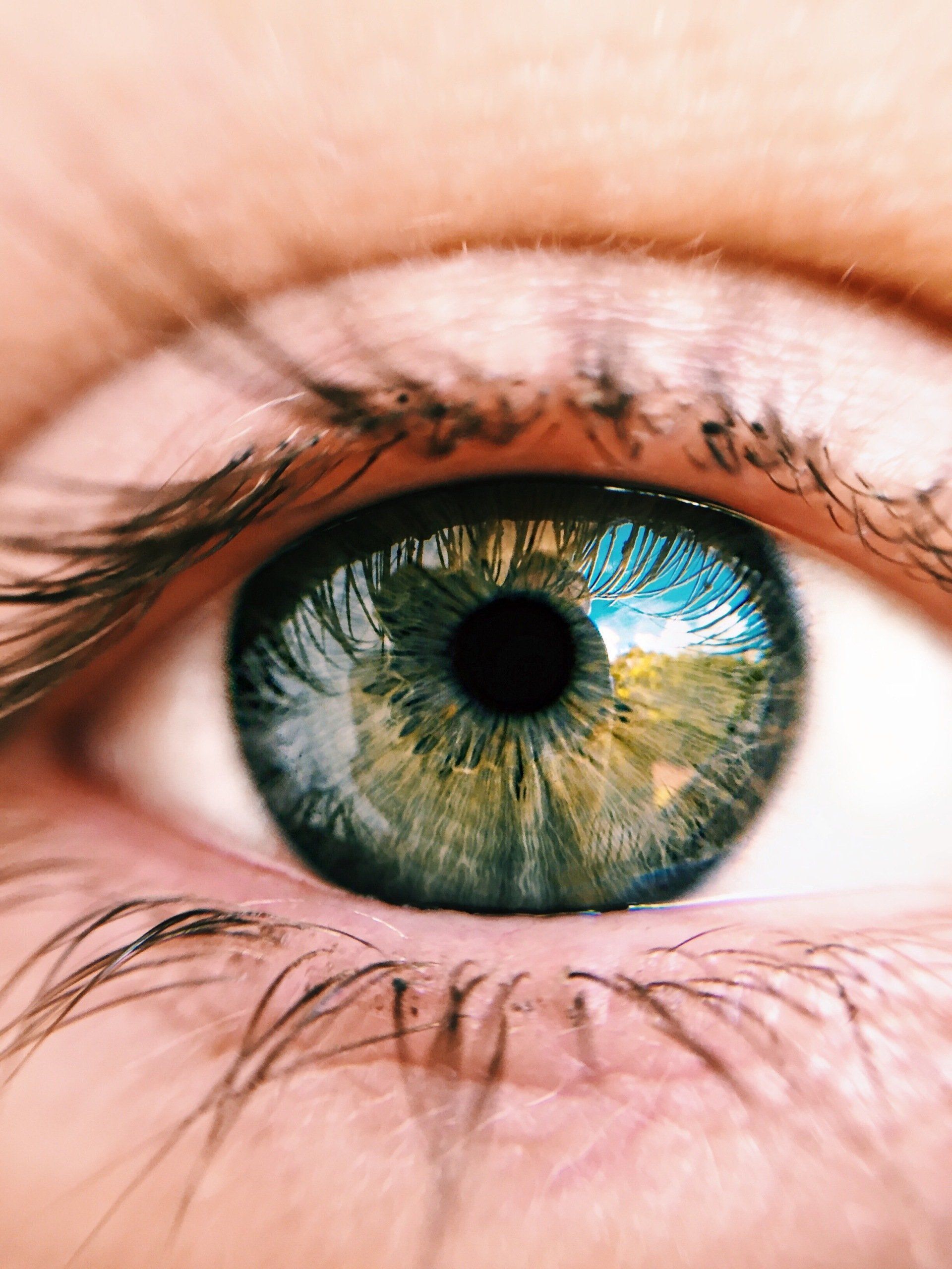 Close-up of an eye with green and blue iris, reflecting a bright outdoor scene.