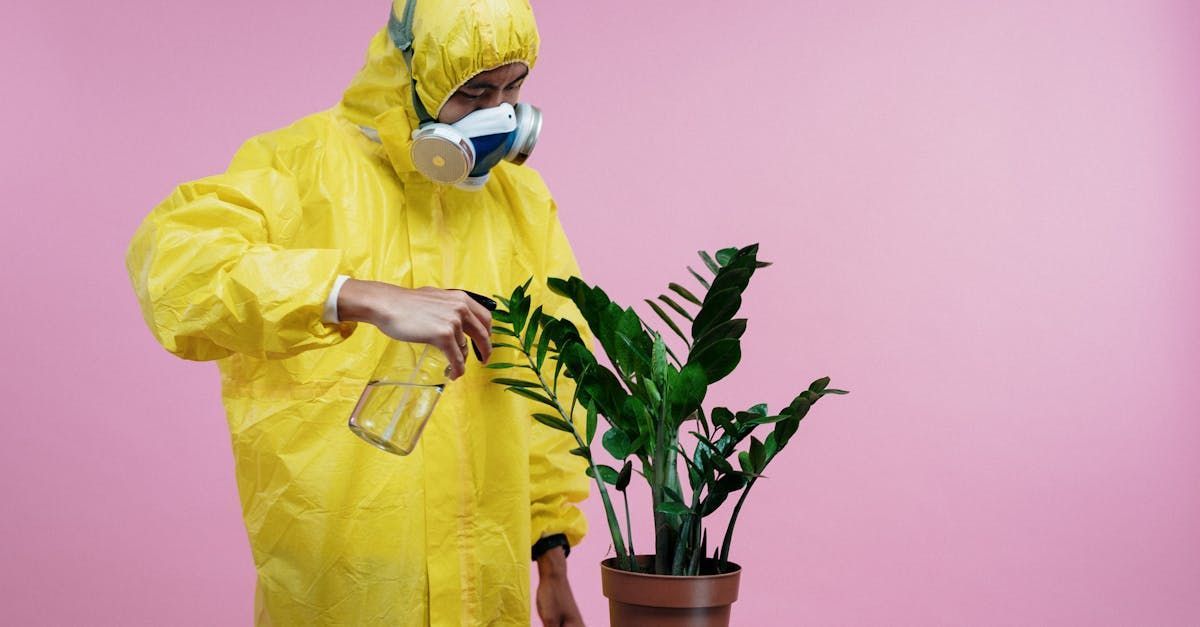 Person in yellow hazmat suit sprays a plant with a bottle against a pink background.