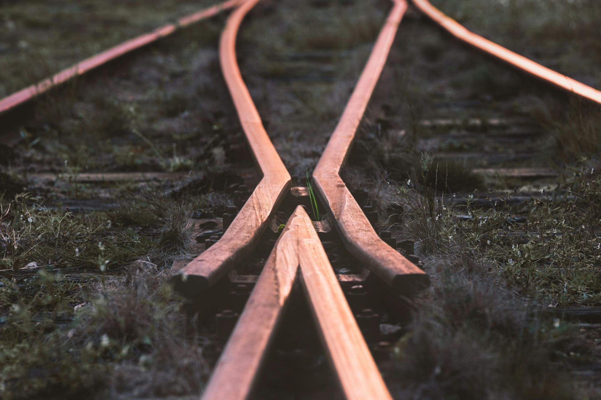 Railroad tracks diverging on a grassy surface.