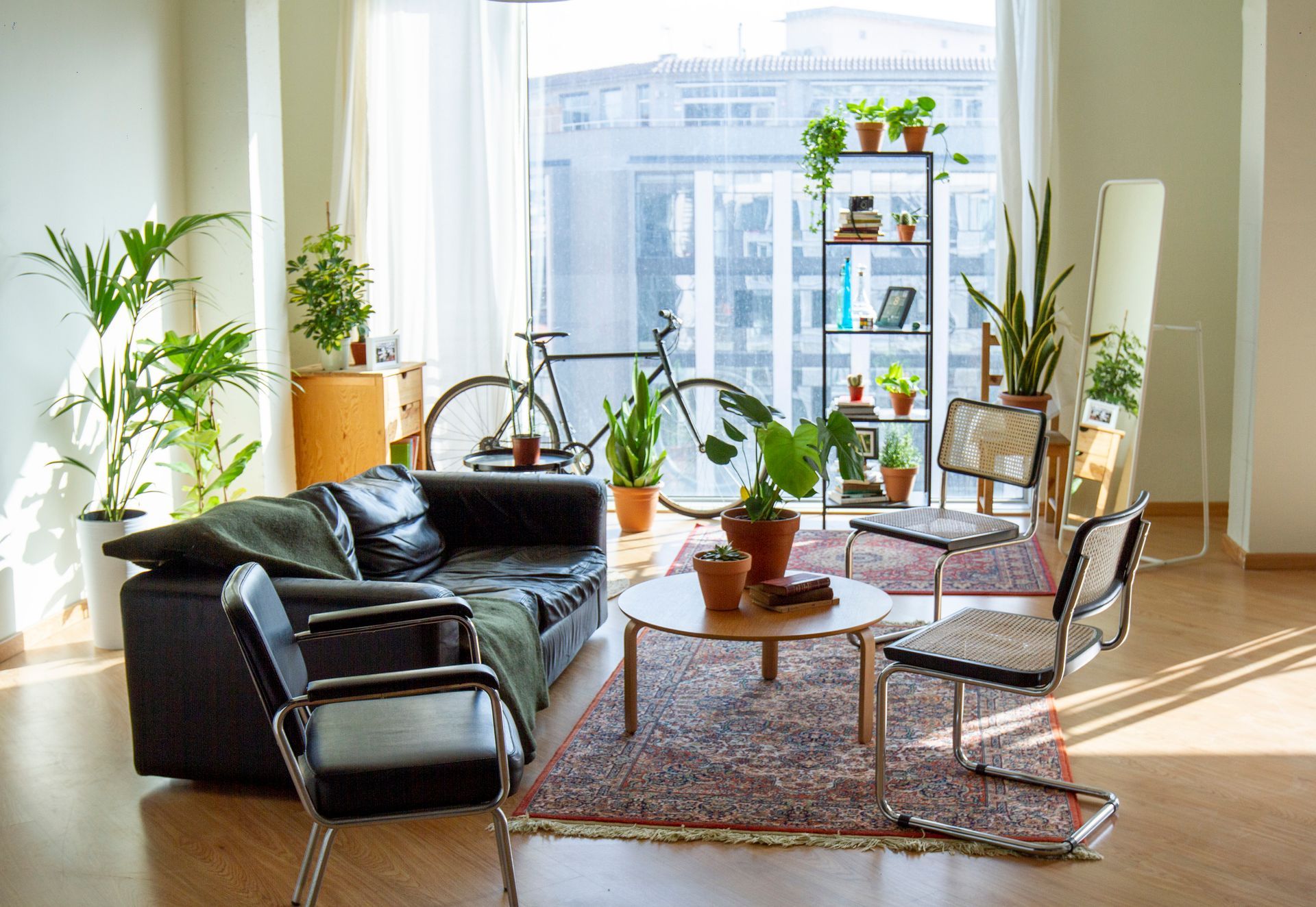Bright living room with plants, a sofa, chairs, and a bicycle by a window.