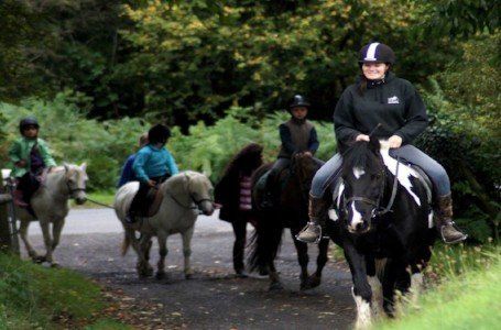 horse riding lessons for children