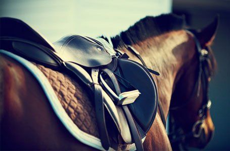 horse riding equipment available