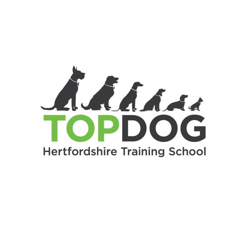 Top dog dog store training