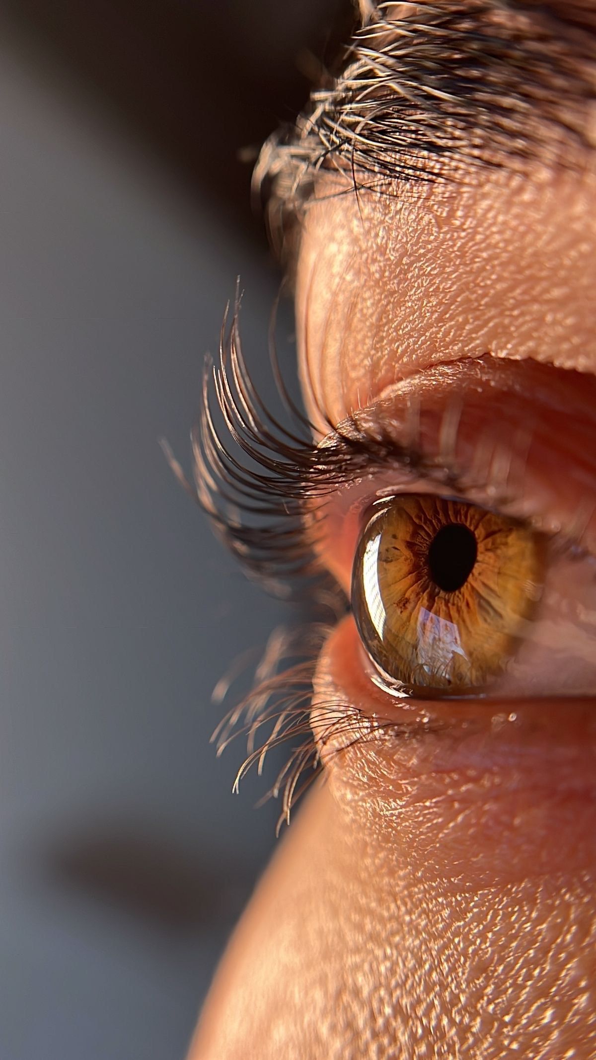 wimpers pagina navigatie bar