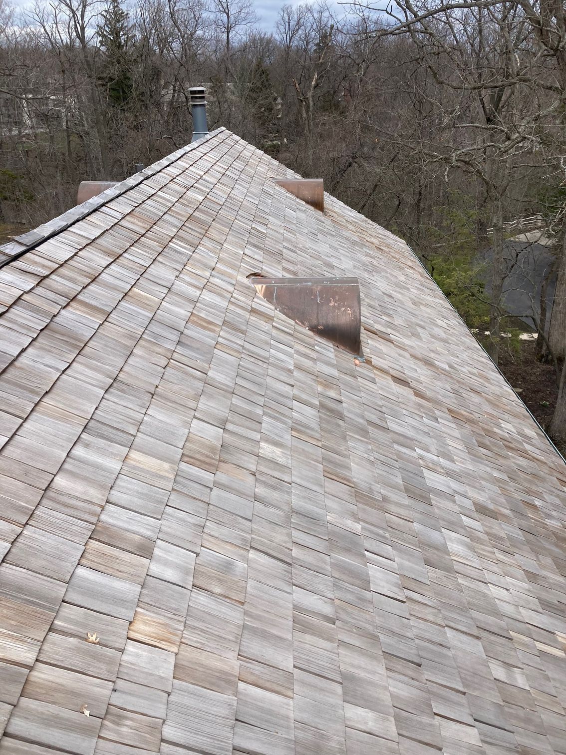 A close up of a wooden roof with trees in the background.