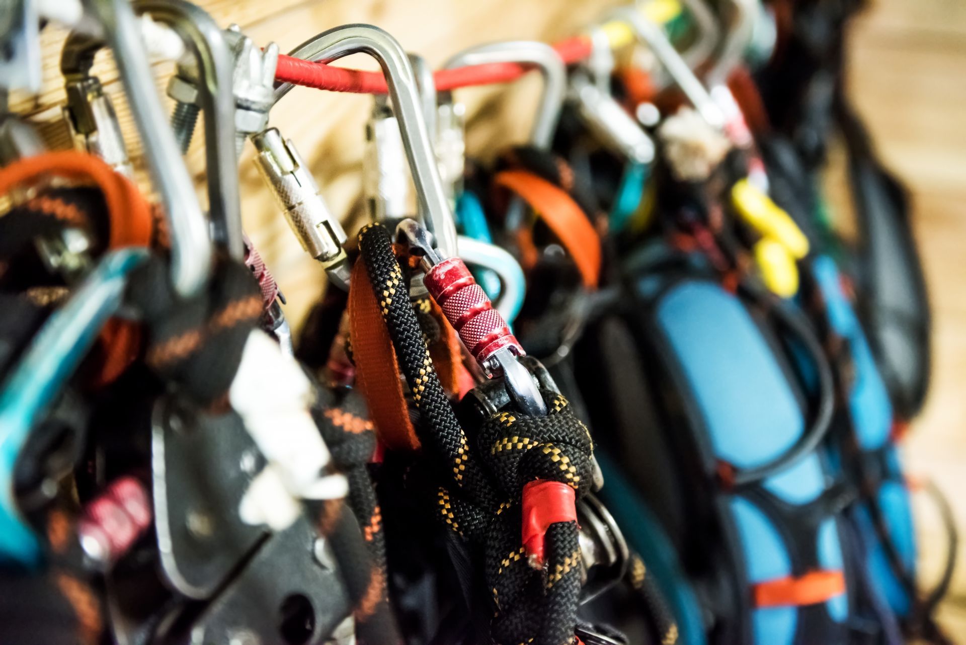 Climbing gear: carabiners, ropes, and harnesses hanging on a wooden wall.